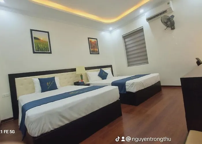 Sao Viet Hth