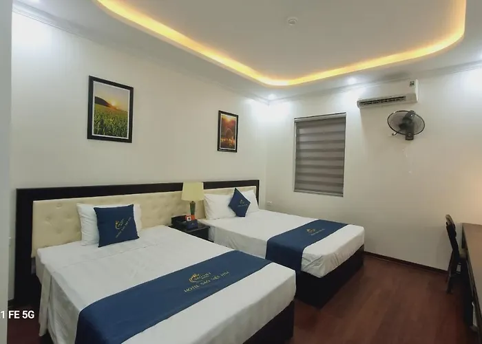 Sao Việt Hth 3*