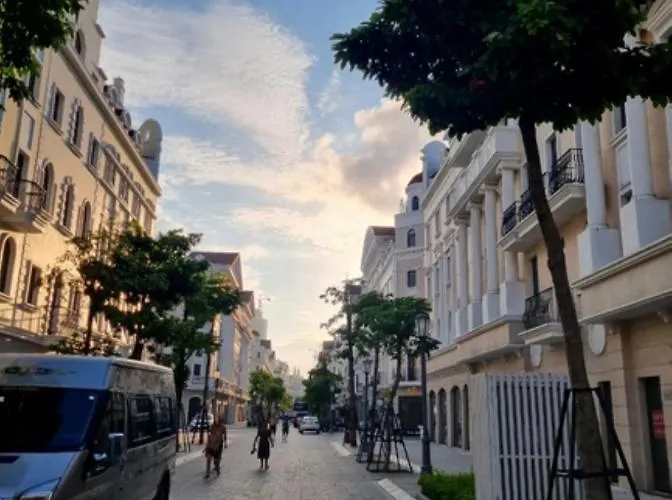 Sao Việt Hth